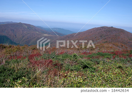 Late autumn Mt. Mt. Azumayama Ozabara 18442634