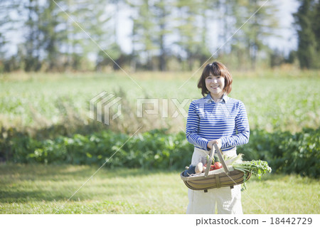 A woman holding a vegetable basket 18442729