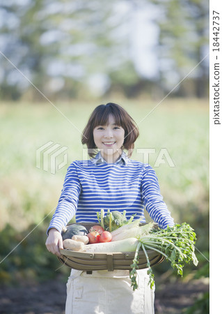 拿著菜籃子的婦女 18442737