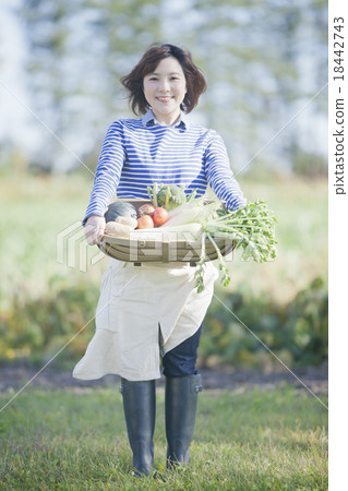 A woman holding a vegetable basket A woman holding a vegetable basket 18442743
