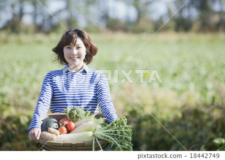 A woman holding a vegetable basket A woman holding a vegetable basket 18442749