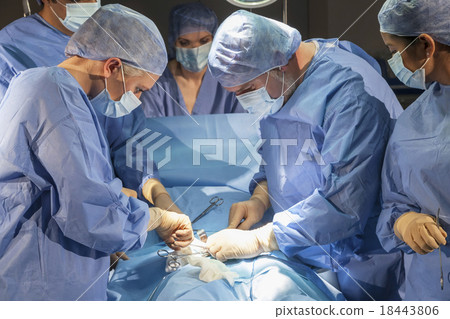 Medical Team Doctors Hospital Surgery Operation Medical Team Doctors Hospital Surgery Operation 18443806