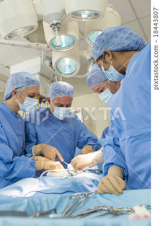 Medical Team Doctors Hospital Surgery Operation 18443807