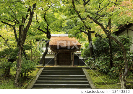 平安時代神廟的隕落（十月） 18443823
