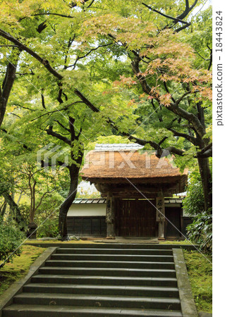 平安時代神廟的隕落（十月） 18443824