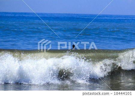 Fall surfing 18444101