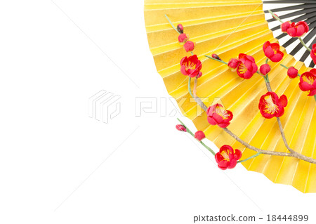 Gold fans and red plum 18444899