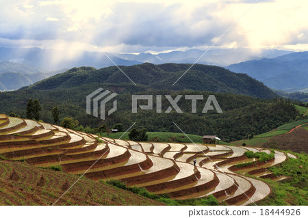 Rice fields on terraced at Chiang Mai, Thailand Rice fields on terraced at Chiang Mai, Thailand 18444926