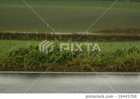 美瑛的雨夾雪 美瑛的雨夾雪 18445708