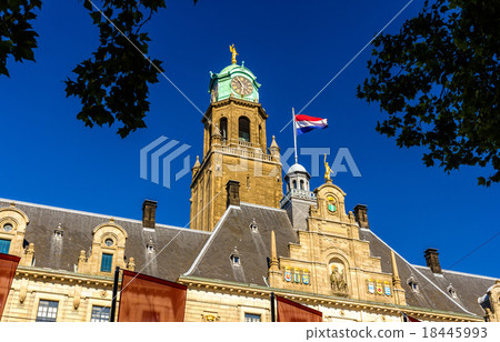 Details of Rotterdam city hall, Netherlands 18445993