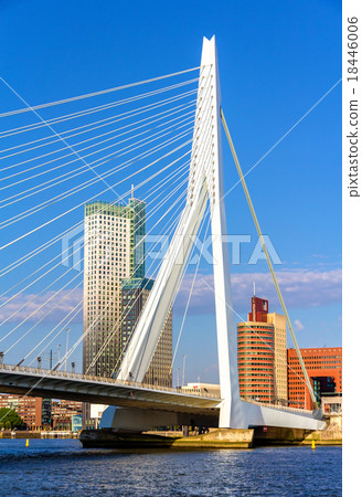View of Erasmus Bridge in Rotterdam, Netherlands View of Erasmus Bridge in Rotterdam, Netherlands 18446006
