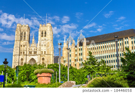 The Cathedral of St. Michael and St. Gudula The Cathedral of St. Michael and St. Gudula 18446058