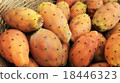 Cactus fruit 18446323
