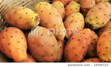 Cactus fruit Cactus fruit 18446323