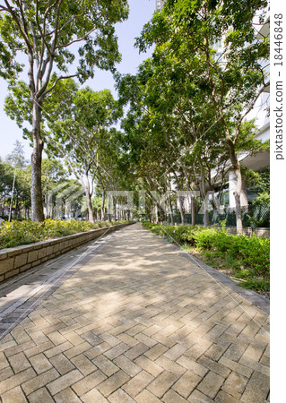 path through the park path through the park 18446848