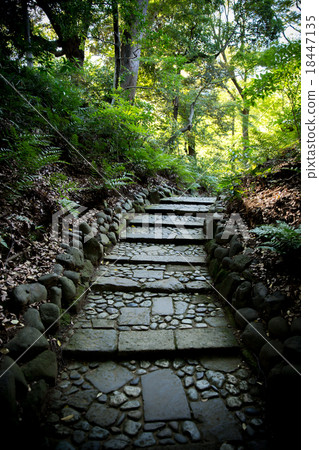 A stone steps trail A stone steps trail 18447135