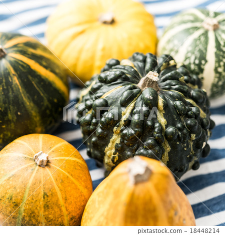 An ornamental pumpkin 18448214