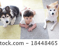 Dog and child 18448465