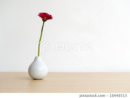 雛菊 18448513