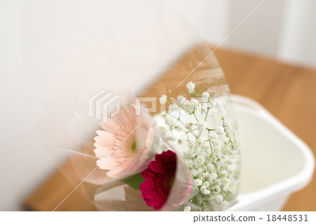 插花 插花 18448531