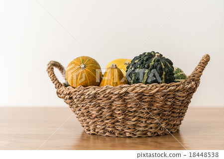 觀賞南瓜 觀賞南瓜 18448538