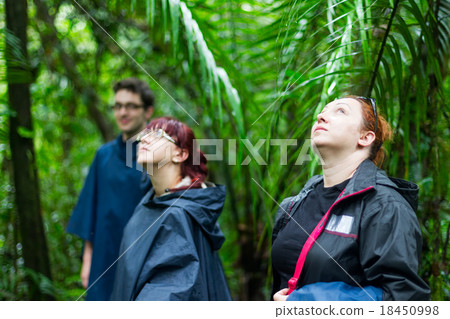 Group Of Tourist Wandering In The Jungle Group Of Tourist Wandering In The Jungle 18450998