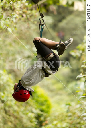Zip Line Adventure Zip Line Adventure 18451147