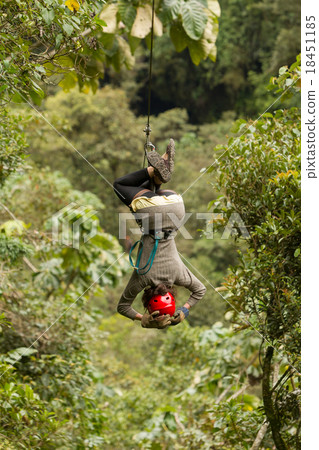 Woman On Zip Line Above The Tree Canopy Reversed Woman On Zip Line Above The Tree Canopy Reversed 18451185