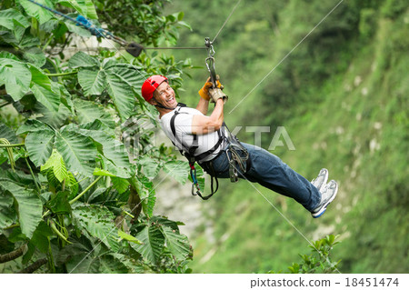 Happy Adult Man On Zip Line Above The Rainforest 18451474