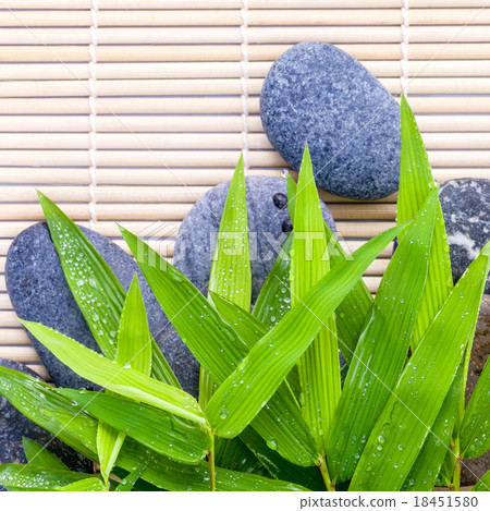 The Stones spa treatment scene on bamboo. 18451580
