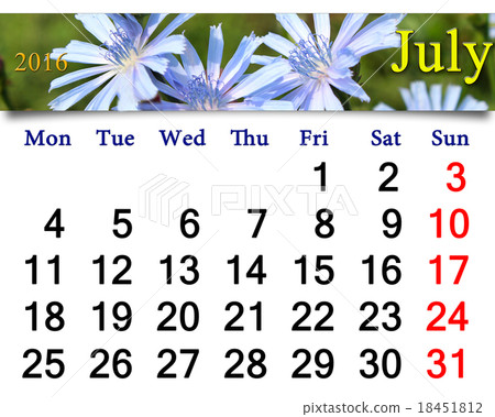 calendar for July 2016 with flowers of Cichorium calendar for July 2016 with flowers of Cichorium 18451812