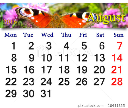 calendar for August 2016 with butterfly calendar for August 2016 with butterfly 18451835