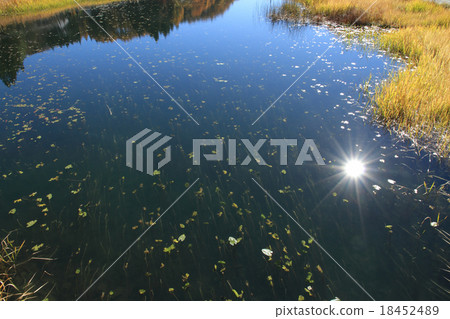 反射下午太陽的湖表面 反射下午太陽的湖表面 18452489