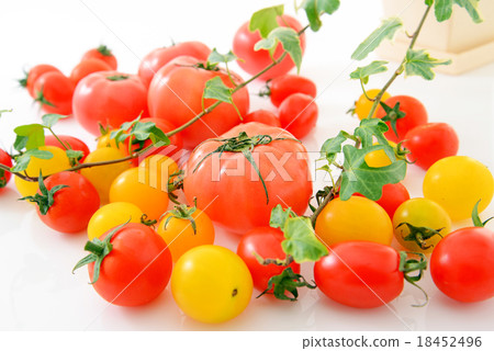 Fresh tomatoes 18452496