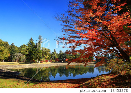 Heritage Heritage World Heritage Hikietsuji in autumn leaves 18453278