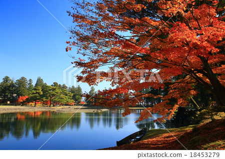 Heritage Heritage World Heritage Hikietsuji in autumn leaves Heritage Heritage World Heritage Hikietsuji in autumn leaves 18453279