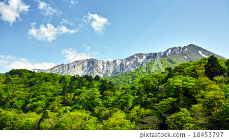 初夏的大山北牆 初夏的大山北牆 18453797
