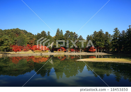 Heritage Heritage World Heritage Hikietsuji in autumn leaves 18453850