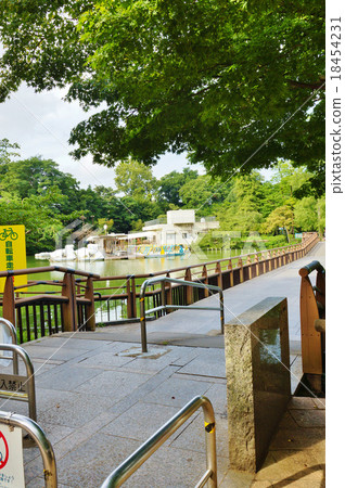東京觀光景點櫻花現場·井之頭公園從納奈橋北側俯瞰橋樑·垂直位置 18454231