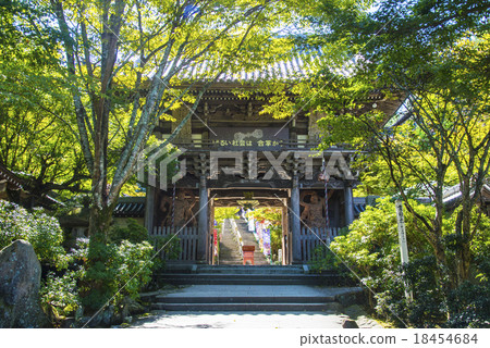 The cathedral approaching the cathedral 18454684