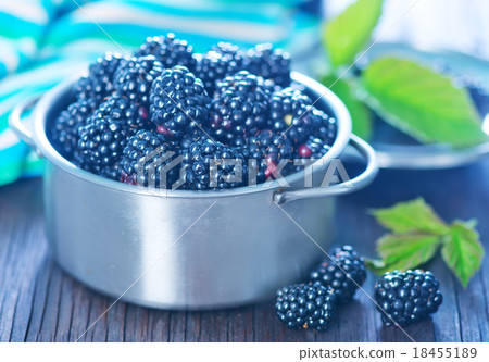 fresh blackberry fresh blackberry 18455189
