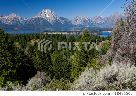 Mount Moran 18455503