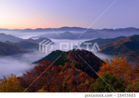 Autumn leaves and sea of clouds at Koiri Pass 18455683