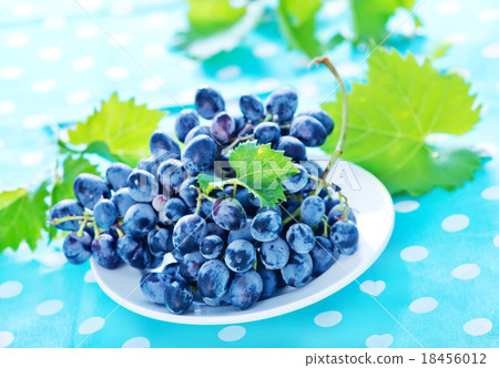 Grape 18456012