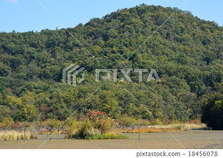 Deep mud pond in early autumn 18456078