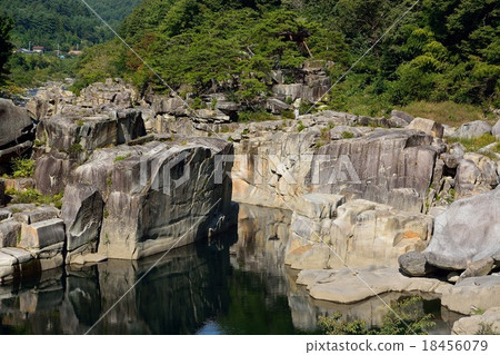 Early autumn bedding floor 18456079