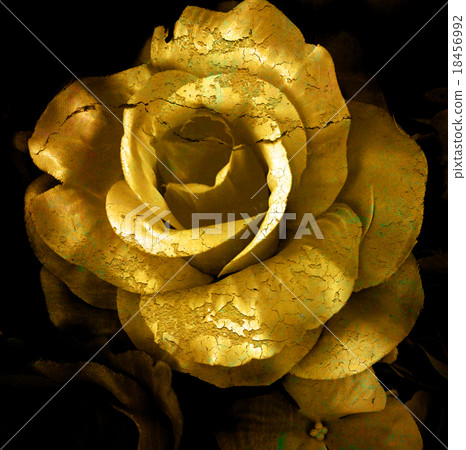 Gold cracked flower, old rose, art dark tone. Gold cracked flower, old rose, art dark tone. 18456992