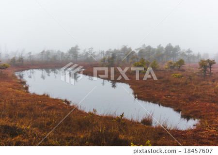 Kemeri National Park Kemeri National Park 18457607