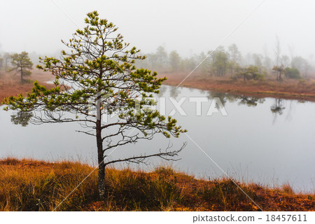 Kemeri National Park Kemeri National Park 18457611