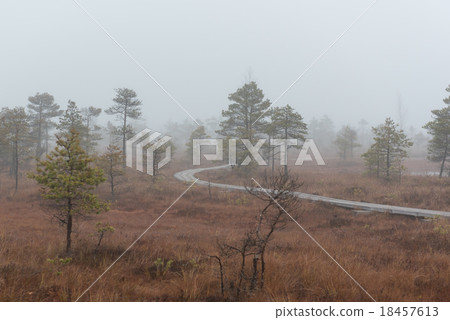 Kemeri National Park 18457613